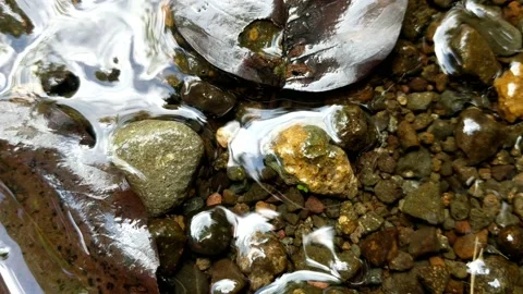 Pattern of clear water flow in the rock 44 库存影片 208550694
