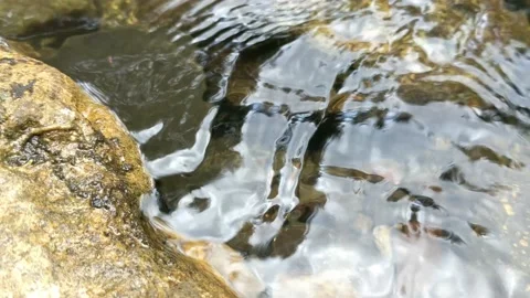 Pattern of clear water flow in the rock Stock Footage 208575020