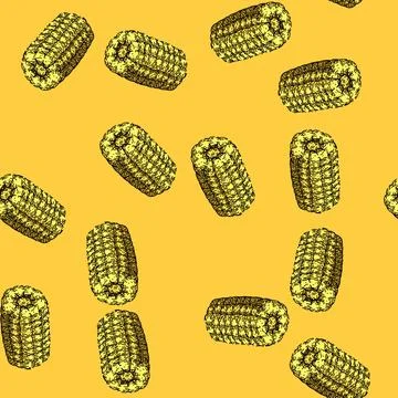 Pattern cob corn sketch hand drawn イラスト素材