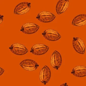 Pattern cocoa bean sketch hand drawn Ilustração Stock