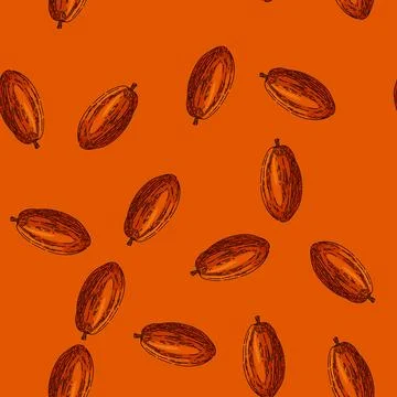 Pattern cocoa bean sketch hand drawn Illustrazione stock