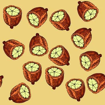 Pattern cocoa bean sketch hand drawn Illustrazione stock