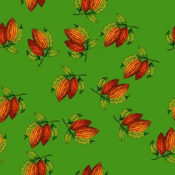 Pattern cocoa bean sketch hand drawn Illustrazione stock