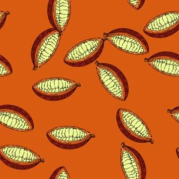 Pattern cocoa bean sketch hand drawn Stockillustratie