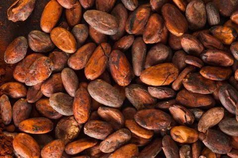 Pattern of the cocoa beans background close up Foto stock