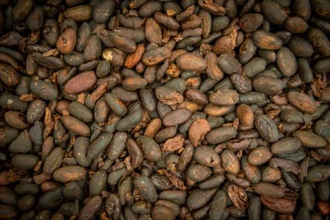 Pattern of the cocoa beans background Foto stock