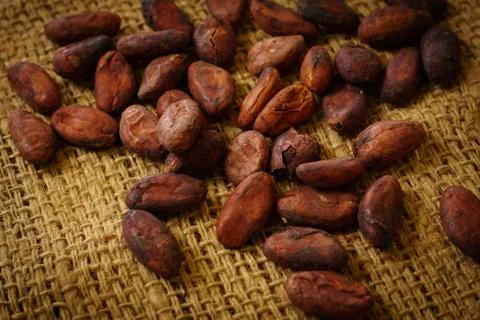 Pattern of the cocoa beans on burlap background Foto stock