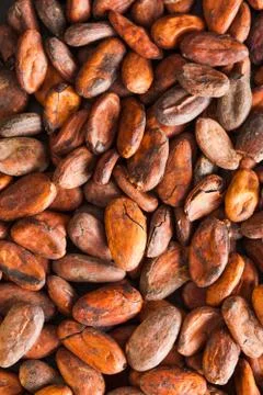 Pattern of the cocoa beans top view Stock Photos