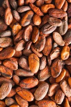 Pattern of the cocoa beans top view pattern of the cocoa beans background,... Foto stock