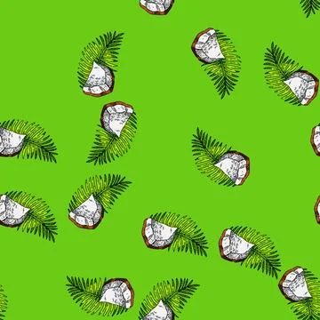 Pattern coconut fruit sketch hand drawn 스톡 일러스트