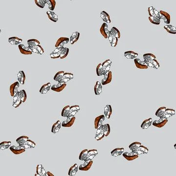 Pattern coconut white sketch hand drawn Stock Illustration