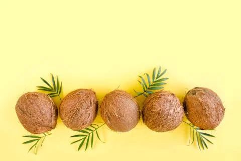 Pattern with coconuts and tropical palm leaves on yellow background. Tropical Stock Photos