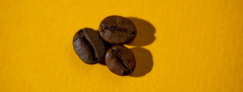 The pattern of coffee beans on colored background Fotos Stock