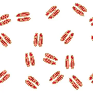 Pattern cold electric heated insoles cartoon vector 库存插图