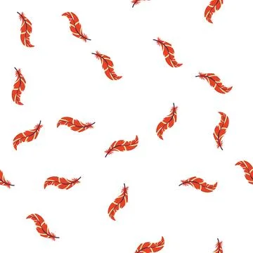 Pattern color feather exotic bird cartoon vector Stock-Illustration