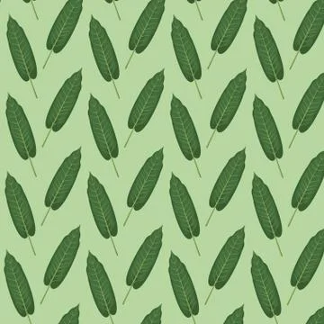 Pattern color set decorative of elongated green leaves 스톡 일러스트