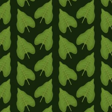 Pattern color set decorative of tropical heart shape green leaves Stock Illustration