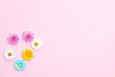 Pattern of colored flowers on pink background Stock Photos