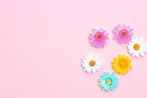 Pattern of colored flowers on pink background Stock Photos