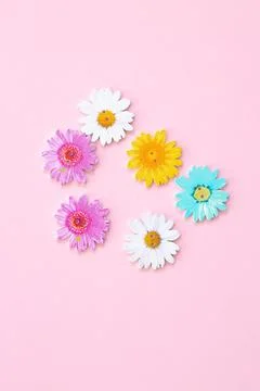 Pattern of colored flowers on pink background Stock Photos