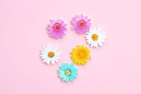 Pattern of colored flowers on pink background Stock Photos
