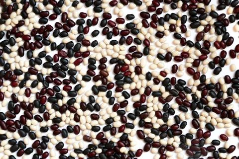 Pattern of Colorful beans  on a white background. Concepts about decoration,  Stock Photos