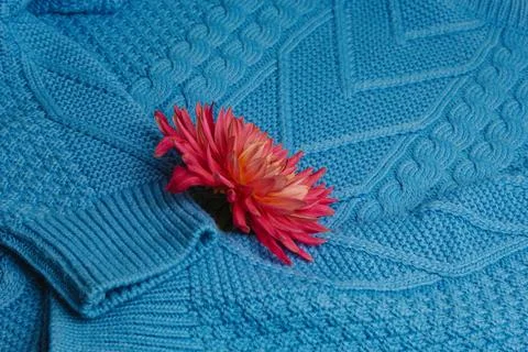 Pattern of colorful knitted sweaters closeup. Handmade merino wool product... Foto stock