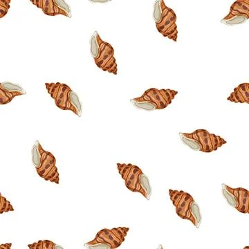 Pattern conch sea shell cartoon vector 스톡 일러스트