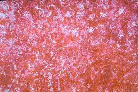 Pattern concrete on wall surface. use to decorate interior on wallpaper Stock Illustration