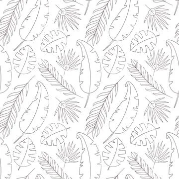 Pattern of contour tropical leaves on white background. Palm, monstera, fern Stock Illustration