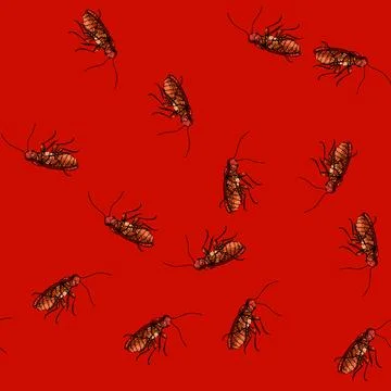 Pattern control cockroach sketch hand drawn Stock Illustration