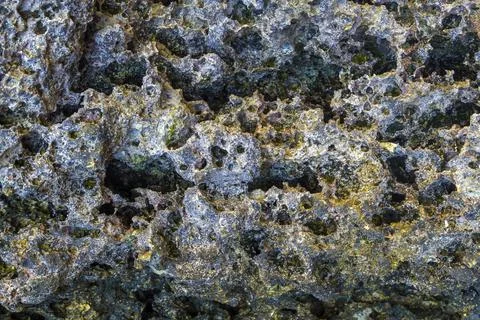 Pattern of Corals fragment on the beach . Abstract texture background. Stock Photos