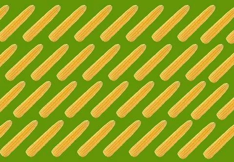Pattern of corn cobs on green background Stockfoto's