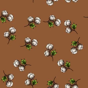 Pattern cotton plant sketch hand drawn 库存插图
