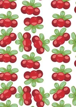 Pattern with Cowberry Lingonberry Stock Illustration