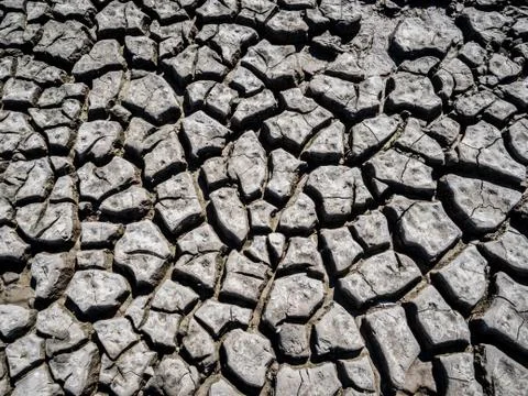 Pattern of cracks in the mud Stock Photos