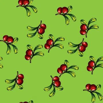 Pattern cranberry cowberry red sketch hand drawn 스톡 일러스트