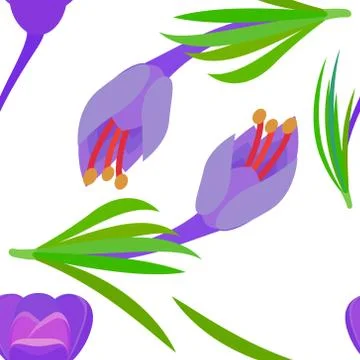 Pattern with Crocus and yellow circles Violet flowers with green leaves. 库存插图