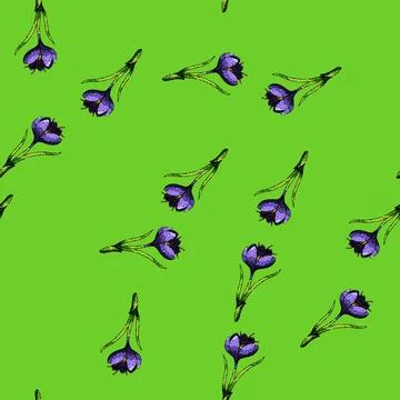 Pattern crocus crocus sketch hand drawn Stock Illustration