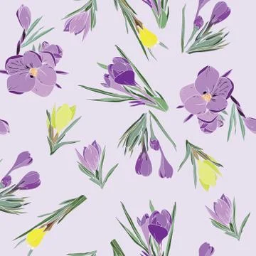 Pattern of crocus spring flowers collection violet and yellow Stock Illustration