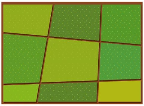 Pattern of crop from top view Stock Illustration