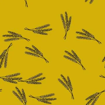 Pattern crop wheat sketch hand drawn Stockillustratie