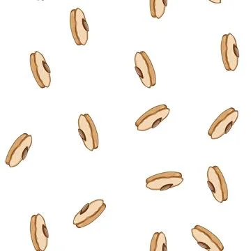 Pattern crunchy biscuit cookie cartoon vector Stock Illustration