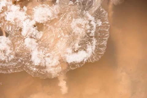Pattern from the crystals of salt Stock Photos