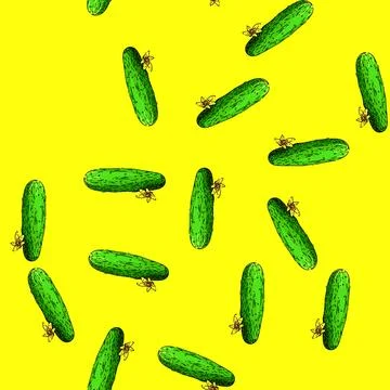 Pattern cucumber vegetable sketch hand drawn Stock Illustration