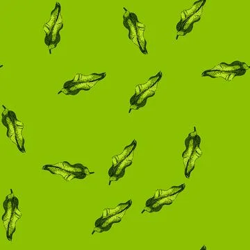 Pattern cuisine banana leaf sketch hand drawn Stock Illustration