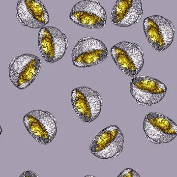Pattern cuisine curry sketch hand drawn Stock Illustration