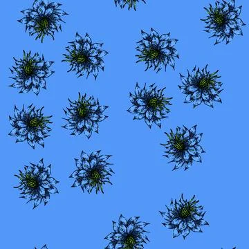 Pattern cumin nigella sativa sketch hand drawn Illustrazione stock