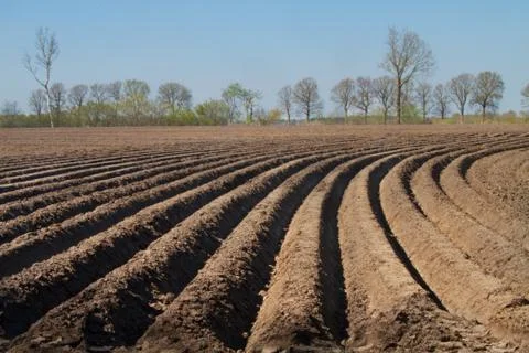 Pattern of curved ridges and furrows in field under blue sky Stock Photos