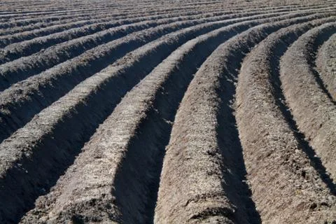 Pattern of curved ridges and furrows Stock Photos